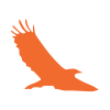 Aquila Logo Eagle Orange