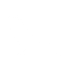 Aquila Logo Eagle White